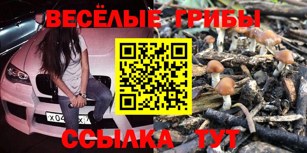Псилоцибиновые грибы мухоморы Ейск